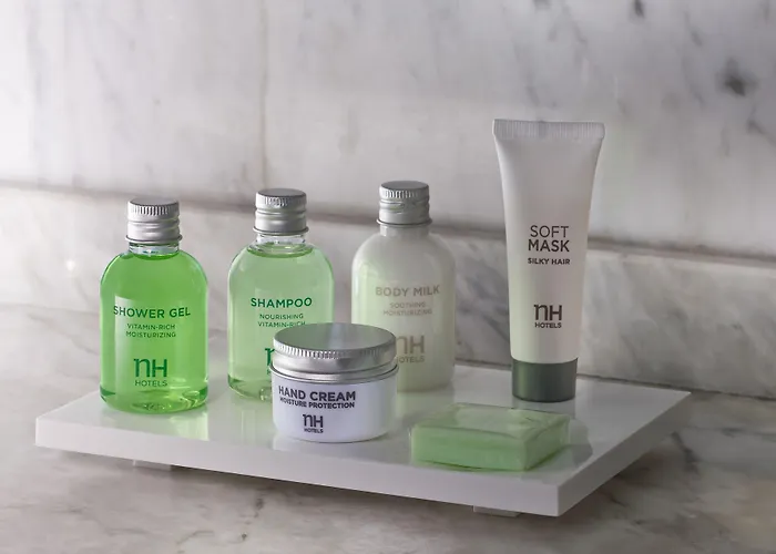 Hotel Nh Panorama 4*